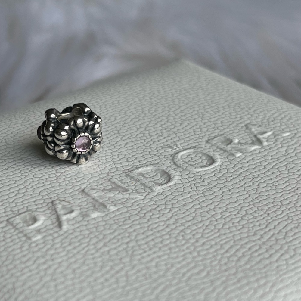 Authentic Pandora | Amethyst Retired Birthday Blooms February Silver Charm